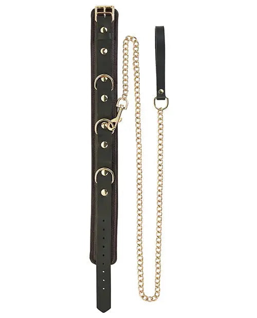 Spartacus Collar & Leash - Brown Leather w/Gold Accent Hardware Spartacus