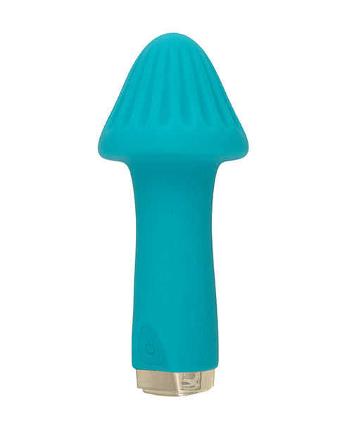 My Secret Shroom - Aqua Nasstoys