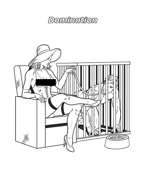 Wood Rocket Fetishes Are Fun Adult Coloring Book Wood Rocket LLC