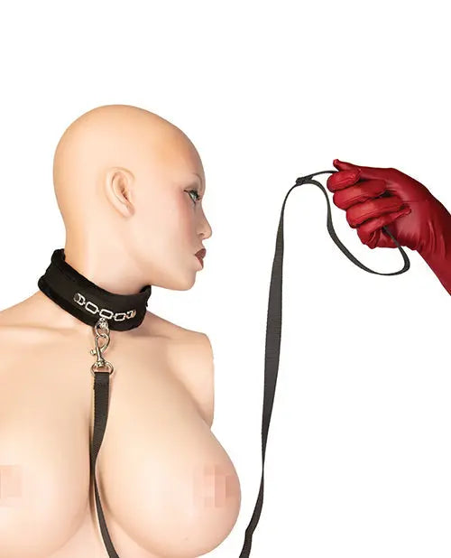Punishment Crystal Detail Collar & 37" Leash B.M.S. Enterprises
