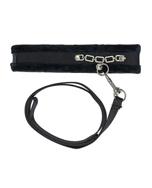 Punishment Crystal Detail Collar & 37" Leash B.M.S. Enterprises