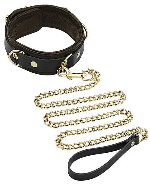 Spartacus Collar & Leash - Brown Leather w/Gold Accent Hardware Spartacus