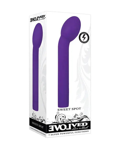 Evolved Sweet Spot - Purple Evolved Novelties INC