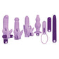 Evolved G Spot Vibrator | Lilac Desires 7-Piece Kit | Purple Vibrator | Butt Plug 10-Speed Bullet Vibrator Evolved Novelties INC