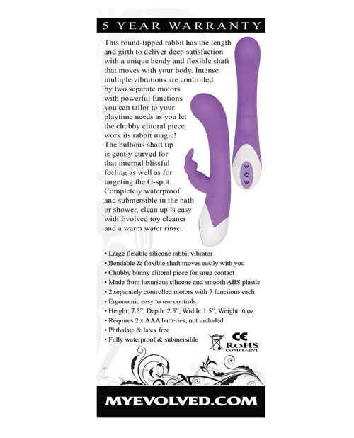 Evolved Rabbit Vibrator | Enchanted Bunny G Spot Vibrator | Purple Clit Vibrator | Best Vibrator for Women Evolved Novelties INC