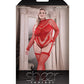 Sheer Infatuation Long Sleeve Teddy w/Attached Footless Stockings Red QN Fantasy Lingerie