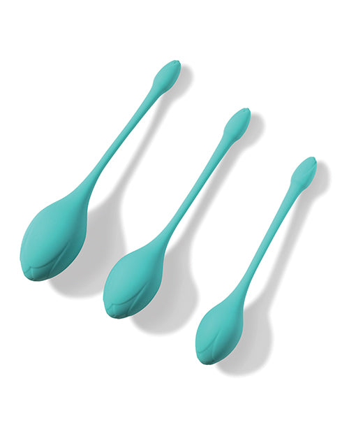 Bluebell Floral 3 Size & Weight Kegel Ball Exercise Set - Blue Uc Global Trade INChoney Play B