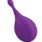 JimmyJane Focus Sonic Vibrator - Purple Pipedream Products