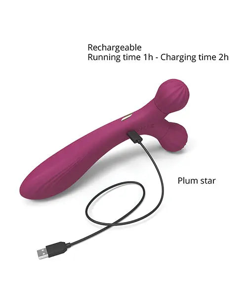Love to Love Fireball Forked Vibrator - Plum Star Lovely Planet