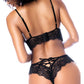 Night Butterfly Lace and Mesh 2 pc Set - Black S/M