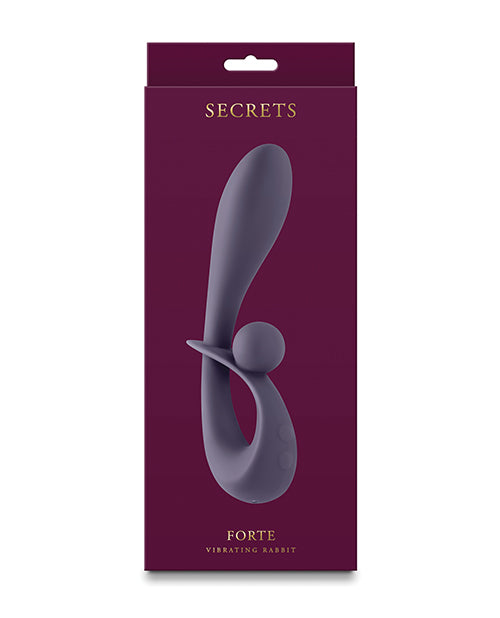 Secrets Rabbit Vibrator | Forte G Spot Vibrator | 6x 14-Function Gray Clit Vibrator | Best Vibrator for Women Ns Novelties INC