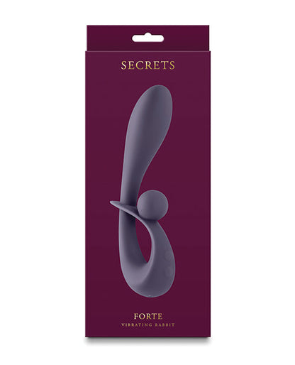 Secrets Rabbit Vibrator | Forte G Spot Vibrator | 6x 14-Function Gray Clit Vibrator | Best Vibrator for Women Ns Novelties INC