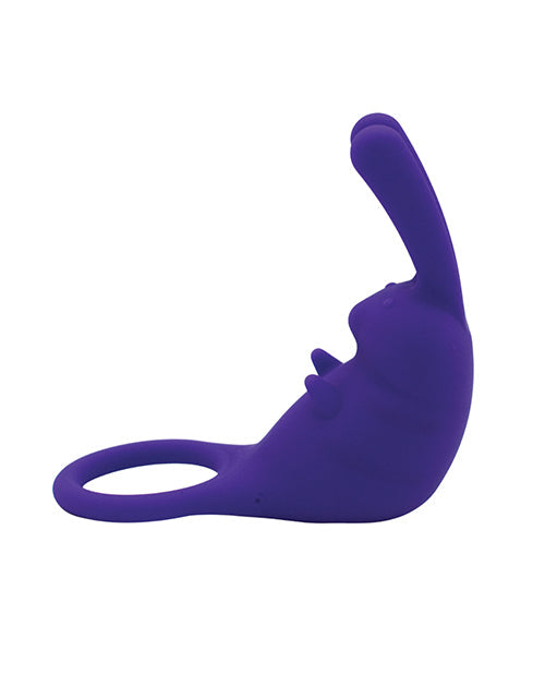 Natalie's Toy Box The Cock Hopper Cock Ring & Bullet Vibrator - Purple Like A Kitten