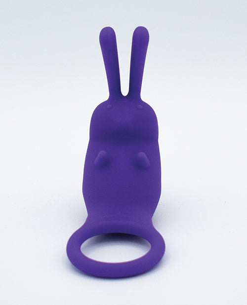 Natalie's Toy Box The Cock Hopper Cock Ring & Bullet Vibrator - Purple Like A Kitten