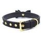 Plesur Cat Bell Bow Tie Collar - Black