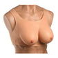 Master Series Perky Pair D Cup Silicone Breasts - Light Xr LLC