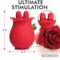 Bloomgasm The Rose Fondle 10X Massaging Clit Stimulator - Red Xr LLC