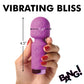 Bang! 10X Mini Silicone Wand - Purple Xr LLC