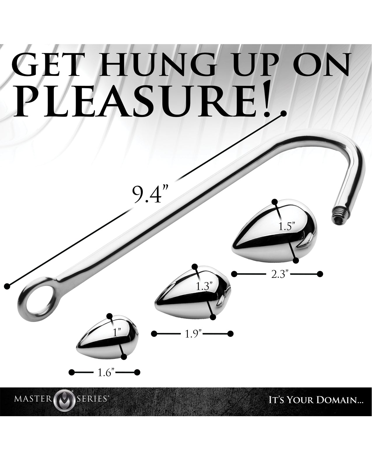Master Series Anal Hook Trainer w/3 Plugs - Silver Xr LLC